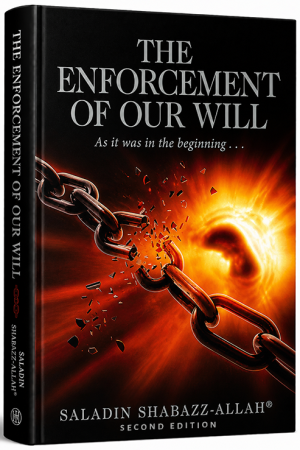 The Enforcement of Our Will: As It Was in the Beginning . . . (Second Edition)